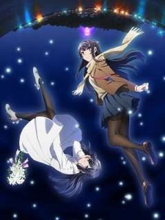 청춘 돼지는 꿈꾸는 소녀의 꿈을 꾸지 않는다