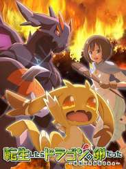 전생했더니 드래곤의 알이었다